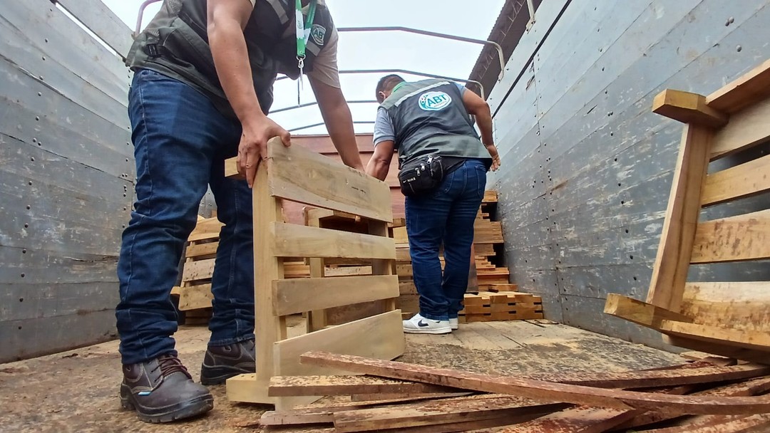 Comisan madera de tajibo y jichituriqui transportada con permisos falsificados