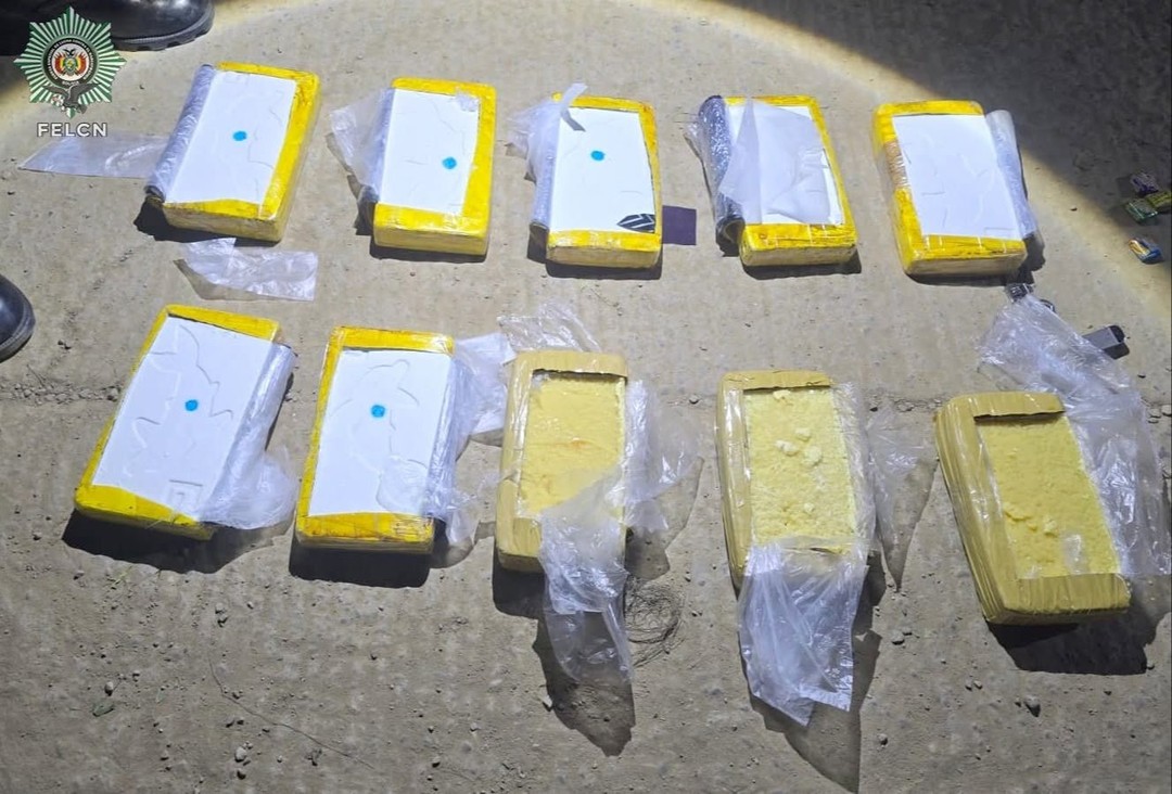 Caen dos jóvenes con 20 kilos de cocaína con la marca ‘Delfin’ 