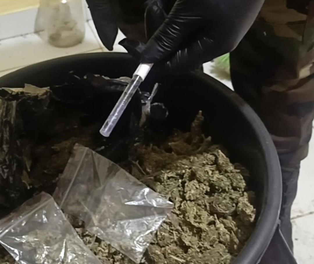 Rescatan a dos perros y un conejo que estaban expuestos a marihuana en un centro de acopio