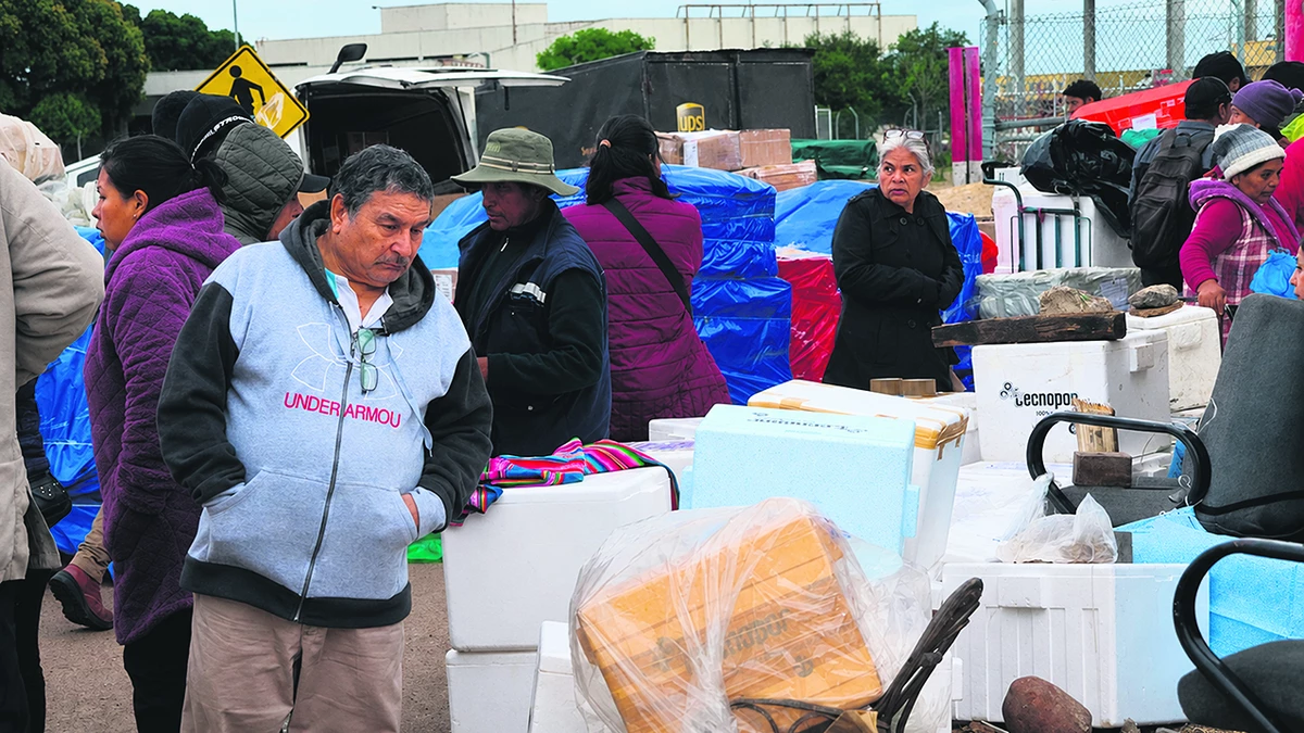 Avícolas alertan mortandad de 11 millones de aves por falta de alimento en la Llajta