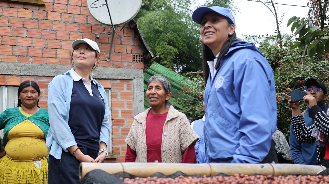 El café de los Yungas busca contener la expansión de la coca excedentaria- El café de los Yungas busca contener la expansión de la coca excedentaria