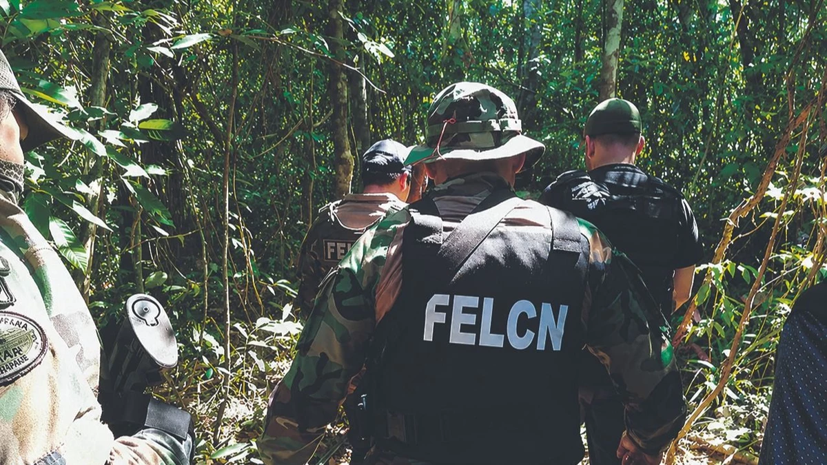 En operativos antidroga detectan acopio de armas y municiones en el Chapare En operativos antidroga detectan acopio de armas y municiones en el Chapare