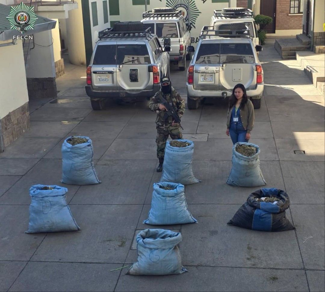 Can antidroga detecta marihuana en encomiendas depositadas en terminal de buses - Can antidroga detecta marihuana en encomiendas depositadas en terminal de buses