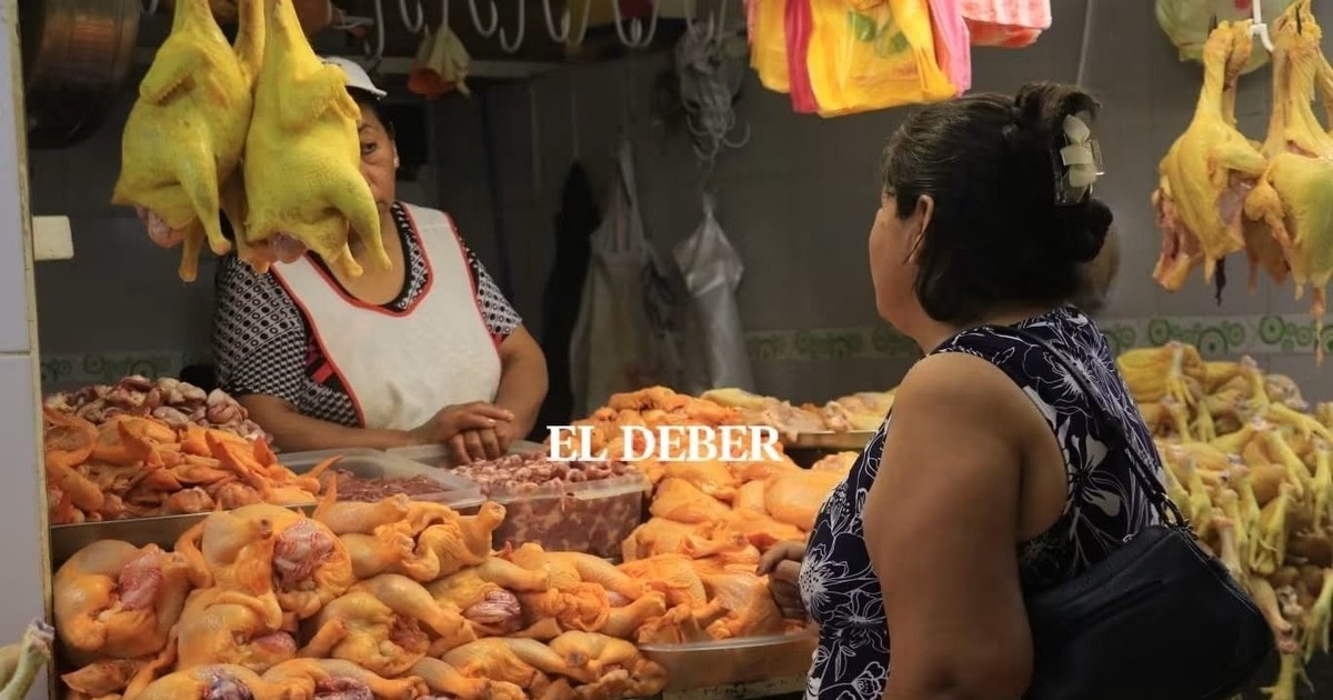 Pollo desplaza a carne de res en Bolivia