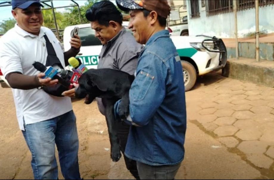Recuperan a Bruno: denuncia a su vecino por robar a su mascota y venderlo en Bs 50