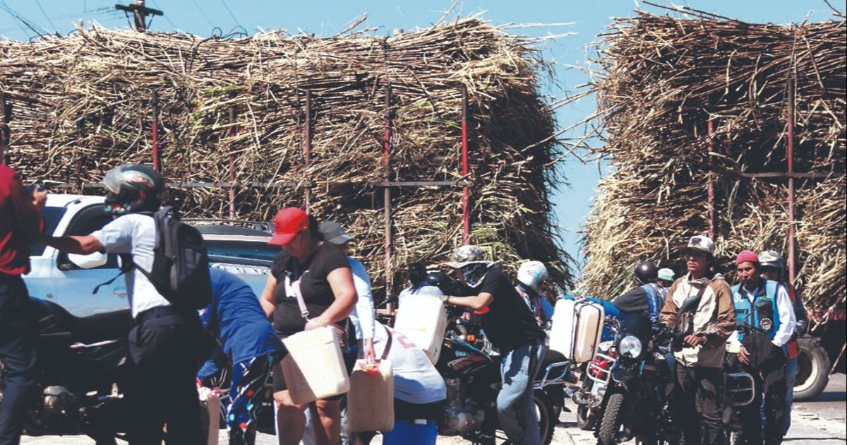 Escasez de Diésel: Pollo, Arroz y Caña de Azúcar en Crisis