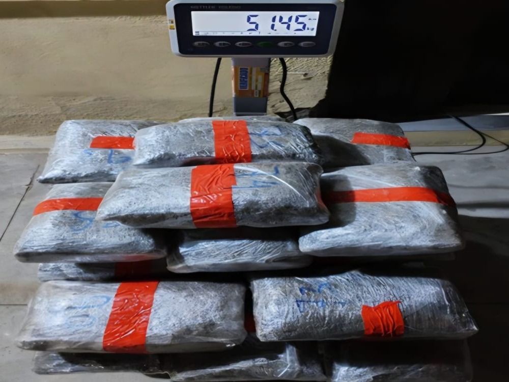 Incautan más de media tonelada de marihuana húmeda tras una persecución policial