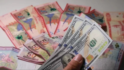 La crisis del dólar se gestó durante el gobierno de Arce y la unificación cambiaria reabre el debate