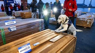 Bolivia Seeks Chilean Wood Samples for International Analysis in 'Wood Case'
