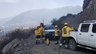 Forest fires rage on in Tarija's Central Valley