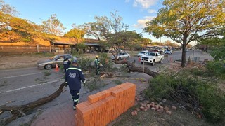 Alerta Roja en Santa Cruz: Fuertes vientos provocan incendios y caídas de árboles