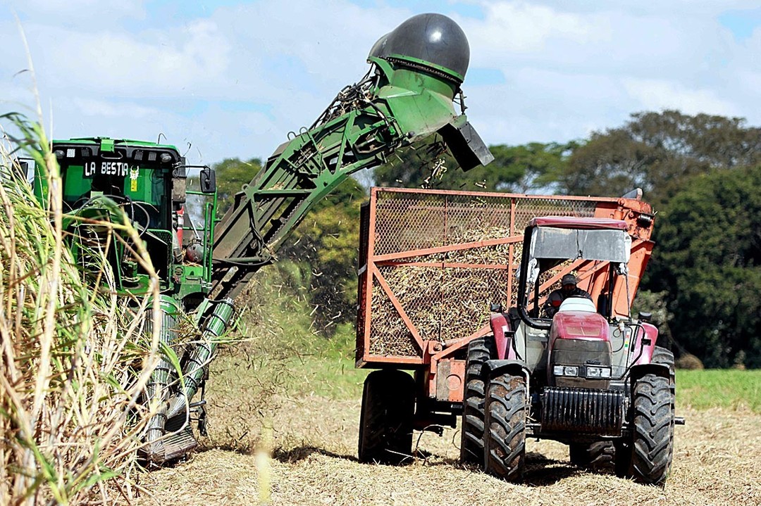 Zafra cañera se frena por falta de diésel, deudas y precios bajos