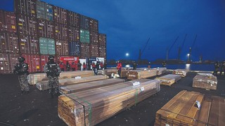 La falsa alarma sobre la madera costó millones y frenó exportaciones