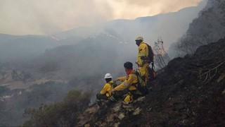 Forest fires in Tarija's Central Valley cause distress in communities
