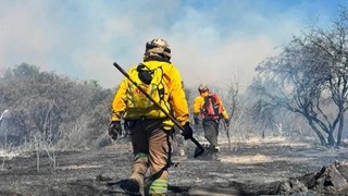 San Lorenzo Declares Municipal Disaster Over Forest Fires