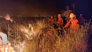 Forest fire near Puerto Mayor Busch controlled after five hours; other regions also affected