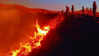 Tarija declares emergency amid raging wildfires; investigation launched into suspected arson