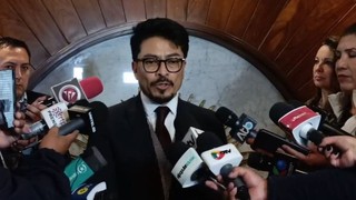 Foreign Minister: 'No former minister will automatically become ambassador'