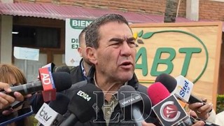 "It's a shame the timber sector was so hit and discredited," says Minister Romero after Brazil clears Bolivian wood of d