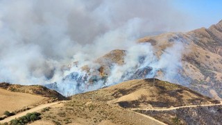 NGO report detects nearly 10,000 hectares burned in Tarija fires