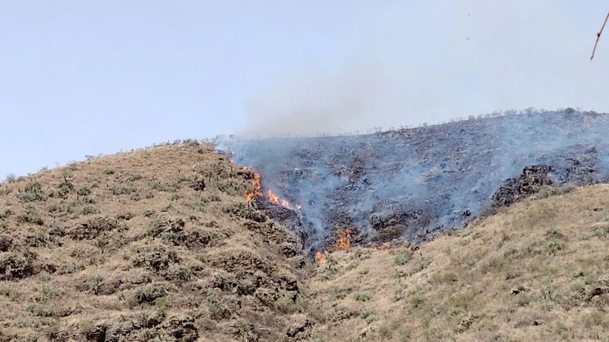 Defensor del Pueblo advierte que los incendios forestales se convirtieron en un problema estructural que vulnera derechos Defensor del Pueblo advierte que los incendios forestales se convirtieron en un problema estructural que vulnera derechos