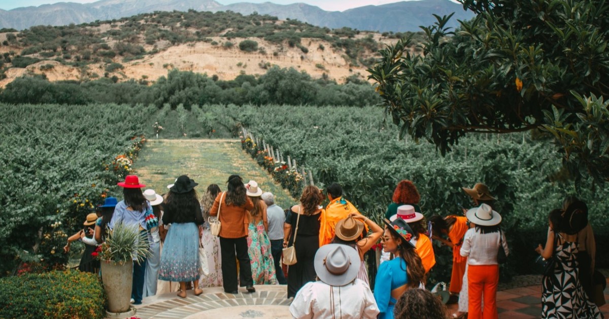 Ruta del Vino y Singani – foto 1