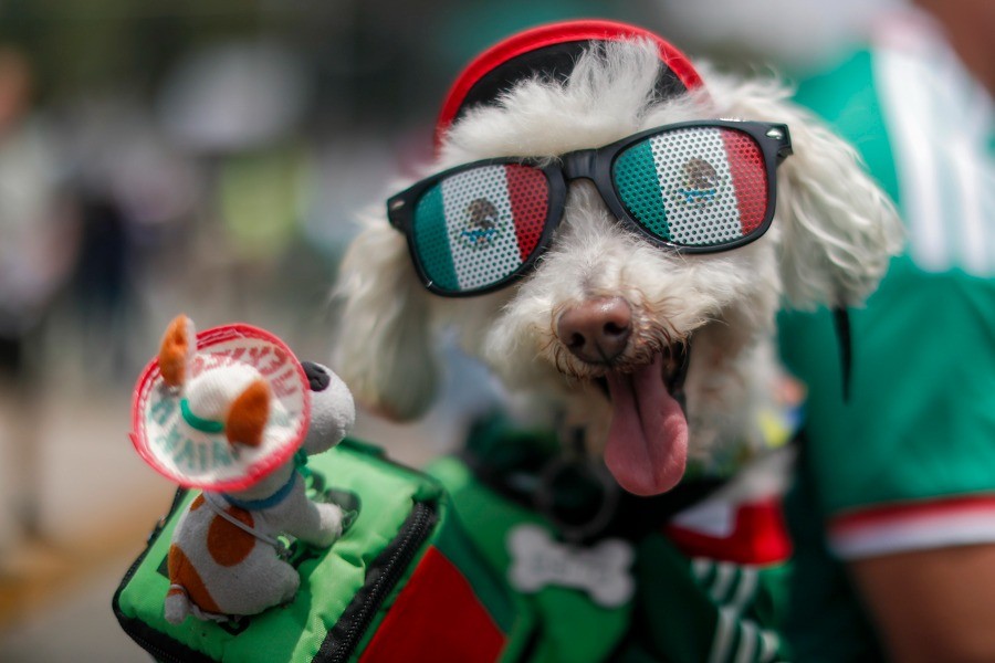 Se levantó el telón del Mundial 2026; aquí algunas de las mejores imágenes /FOTOS: EFE